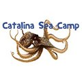 Catslina Sea Camp