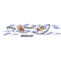 Gaylord Sportswear